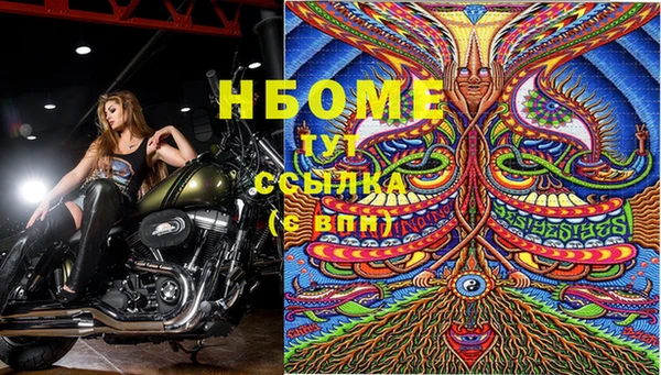 каннабис Аркадак