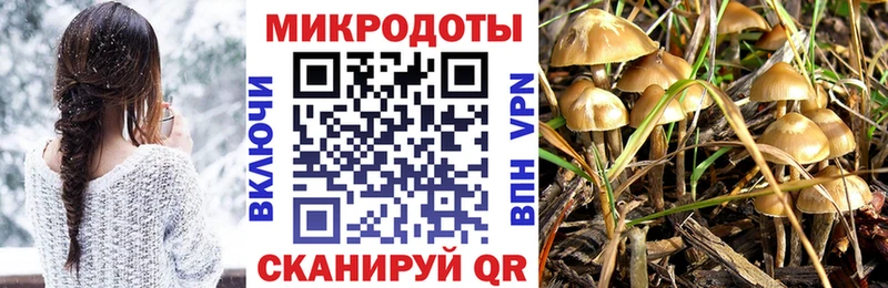 блэк спрут как зайти  Унеча  Псилоцибиновые грибы ЛСД 