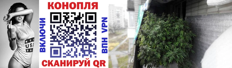 Конопля Ganja Унеча